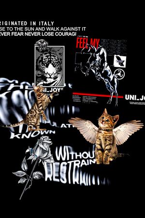 PHILIPP PLEIN印花华亿平台图片