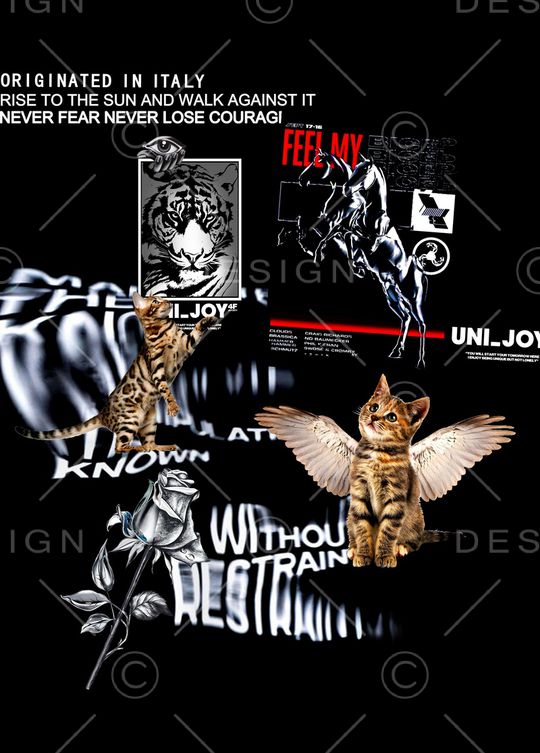 PHILIPP PLEIN印花华亿平台图片