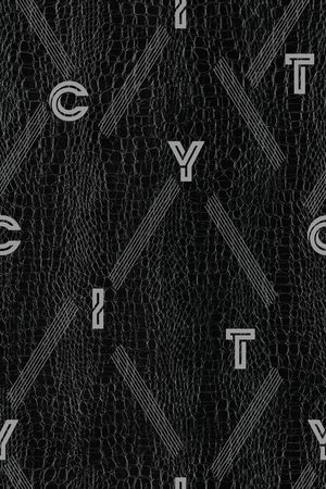 字母印花华亿平台图片