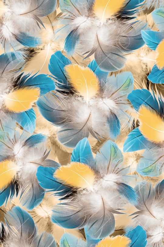 羽毛印花华亿平台图片