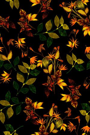 黑底花卉印花华亿平台图片