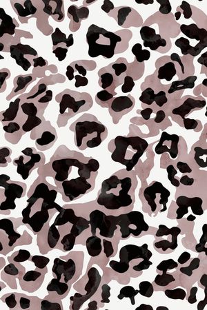 黑白条纹印花华亿平台图片