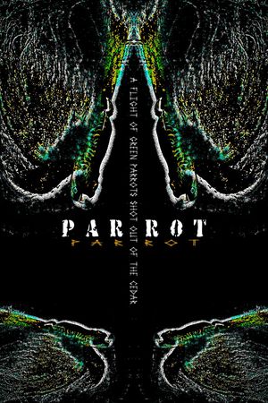 鹦鹉印花华亿平台图片