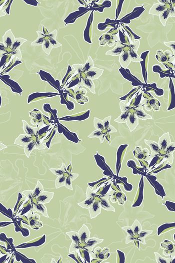 1435436-花卉20036-4