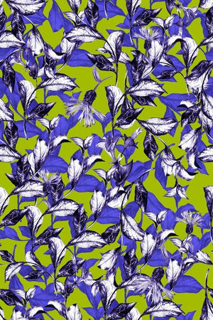 文艺印花华亿平台图片