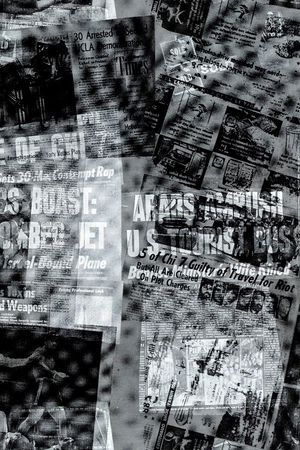 字母印花华亿平台图片