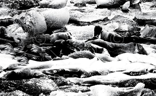 字母印花华亿平台图片