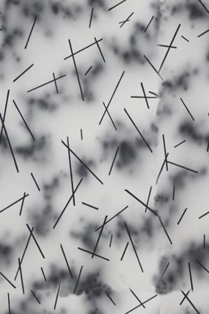 字母印花华亿平台图片