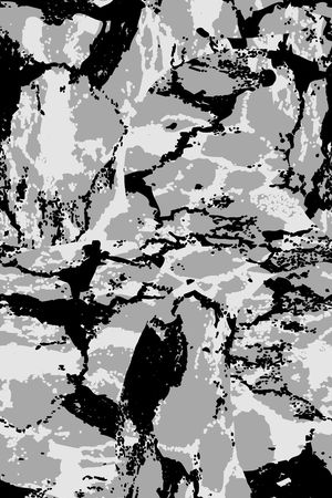 黑白华亿平台印花华亿平台图片