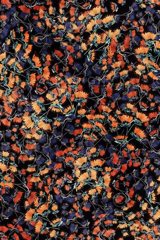 黑底花卉印花华亿平台图片