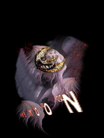 羽毛印花华亿平台图片