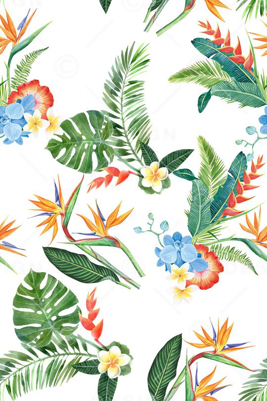 绿植树叶印花华亿平台图片