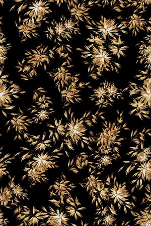 黑底花卉印花华亿平台图片