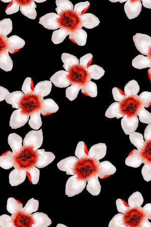 红花印花华亿平台图片