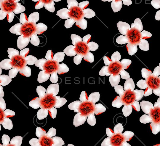 红花印花华亿平台图片