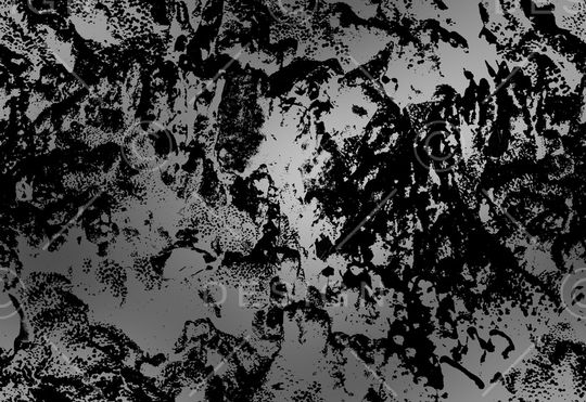 字母印花华亿平台图片