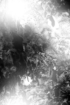 字母印花华亿平台图片