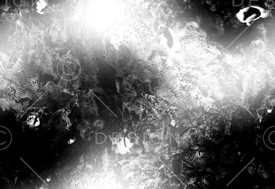 字母印花华亿平台图片