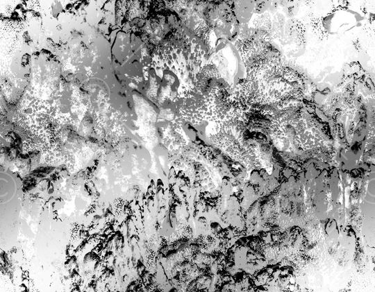 字母印花华亿平台图片