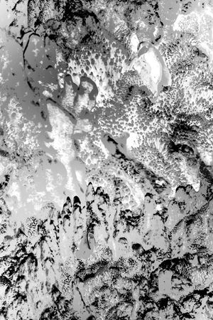 字母印花华亿平台图片