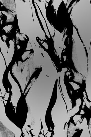 字母印花华亿平台图片