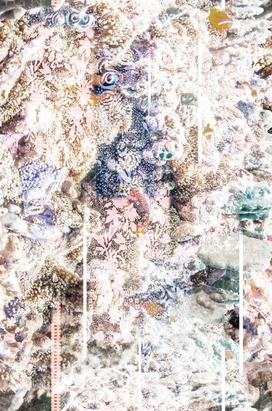 定位花印花华亿平台图片