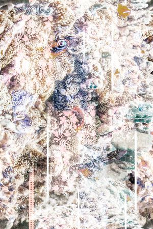 定位花印花华亿平台图片