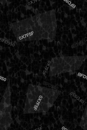 字母印花华亿平台图片