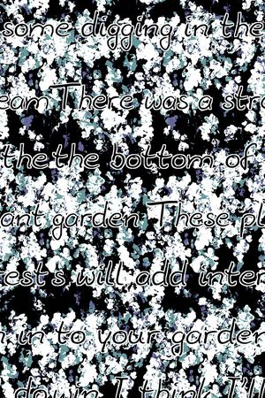 字母印花华亿平台图片