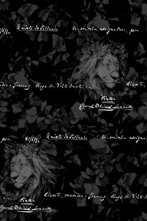 字母印花华亿平台图片