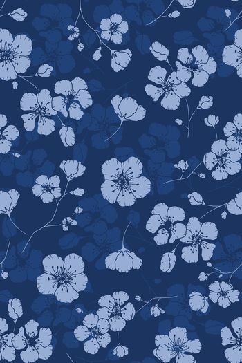 1437202-花卉20038-2