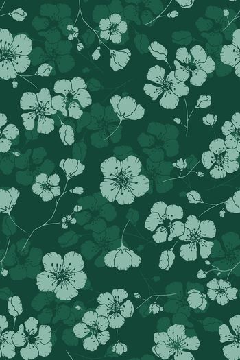 1437203-花卉20038-3