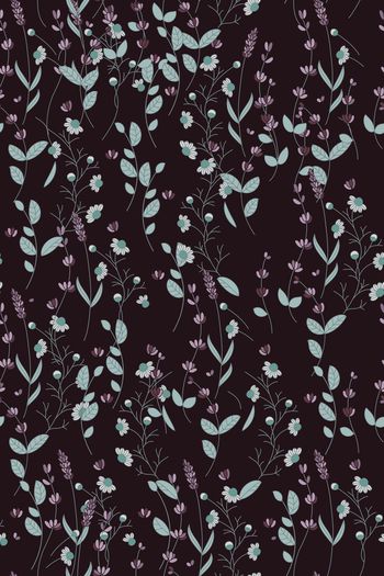 1437206-花卉20039-3