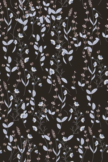 1437207-花卉20039-4