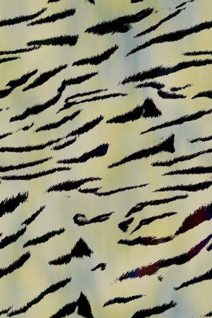 动物纹印花华亿平台图片