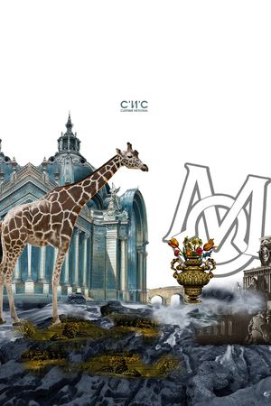 PHILIPP PLEIN印花华亿平台图片