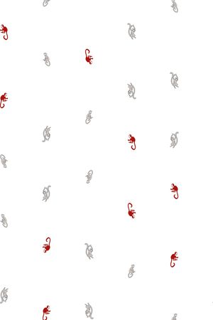 猴子印花华亿平台图片