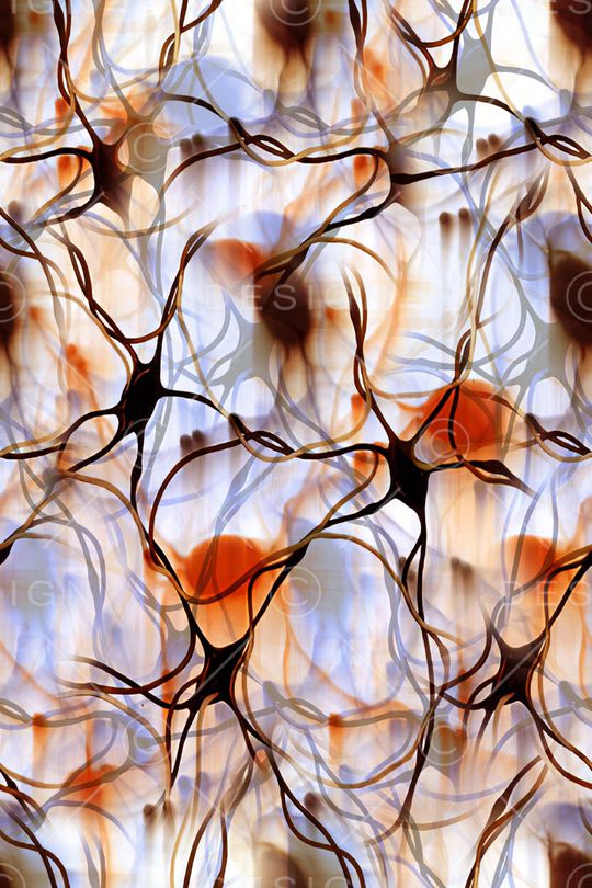 线条画印花华亿平台图片