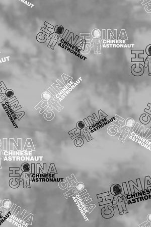 字母印花华亿平台图片