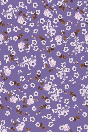 1439059-花卉20043-2