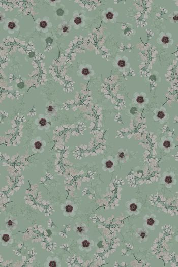 1439063-花卉20044-3