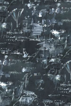 鹦鹉印花华亿平台图片