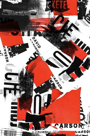 鹦鹉印花华亿平台图片