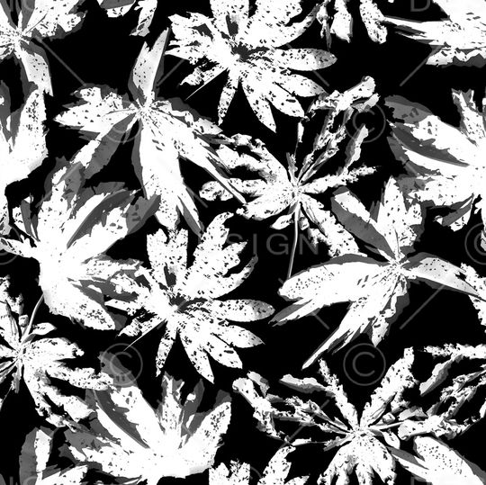 迷彩印花华亿平台图片