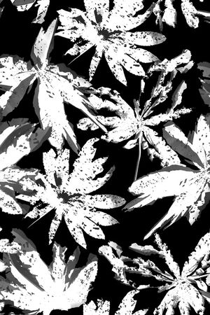 迷彩印花华亿平台图片