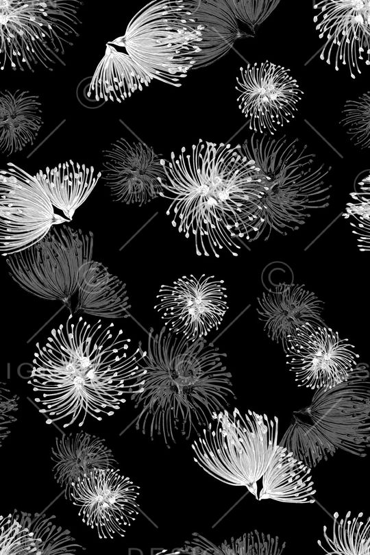 蒲公英印花华亿平台图片