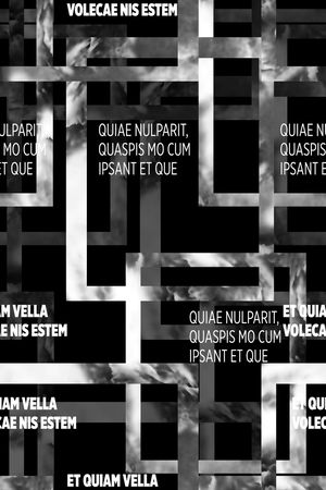 字母印花华亿平台图片