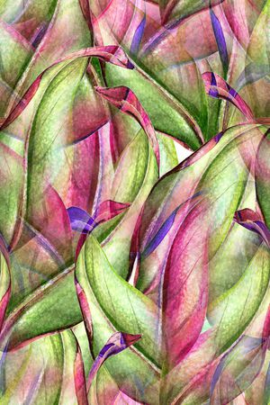 炫彩印花华亿平台图片