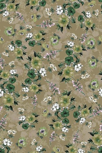 1439809-花卉20047-2