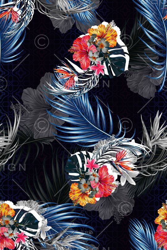 COACH印花华亿平台图片